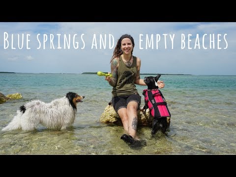 Blue Springs and Empty Beaches - No Van, No Problem 3 - Ramblin' Dawgs
