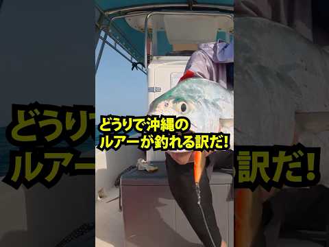 海外で無双！？中東アングラーが沖縄ルアーを使った結果…！