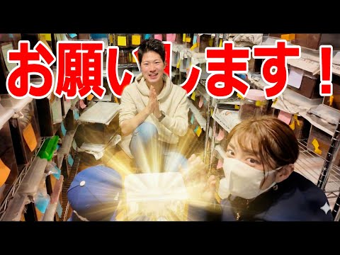 ヘラクレスのマットにぷしゅー!! トップブリーダーの驚きのテクニックとは!?