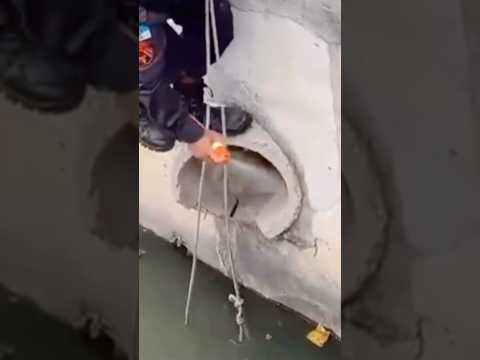 Policial EXPULSANDO O INVASOR #policia #pmerj #pm #policiafederal #prf #policial #policiacivil