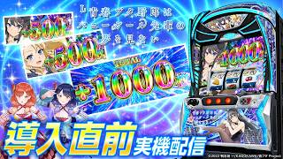 【🔴LIVE#207】9月7日導入開始！『L青春ブタ野郎はバニーガール先輩の夢を見ない』導入直前実戦！【ハルルナ】