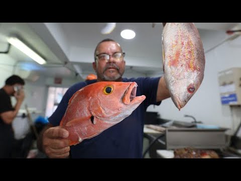En Semana Santa: Este pescado acaba de salir del mar