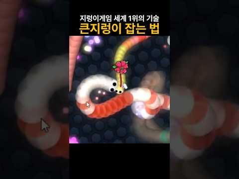 지렁이게임 세계 1위의 비밀기술 공개 slither.io #shorts