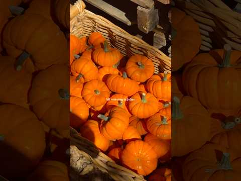 Fall morning in Julian 🍂🍎🎃 #sandiego #lifestyle #fall #autumn #pumpkinseason