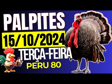 Palpites Do Dia 15/10/2024 | TODAS AS LOTERIAS