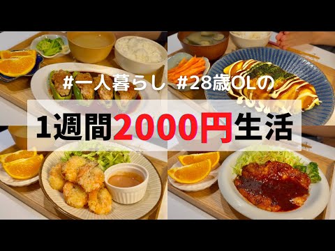 【食費月1万円】一人暮らしの1週間夜ごはん🍤エビフライ/トンテキ/ピーマンの肉詰め/とんぺい焼き/茄子ドック…🤤