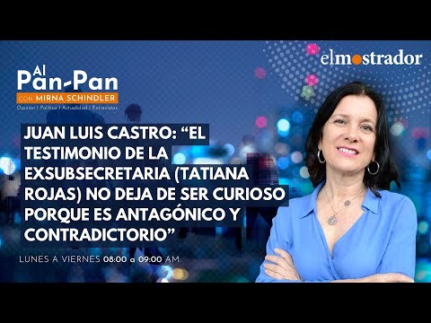 Juan Luis Castro: “El testimonio de la exsubsecretaria (Tatiana Rojas) no deja de ser curioso”