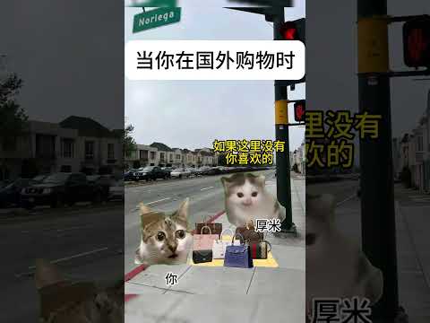 猫の動画サムネイル - 当你在国外购物时#有趣 #猫meme #猫meme剧场 #内容过于真实  #故事 #貓 #猫猫meme小剧场 #喵不可言