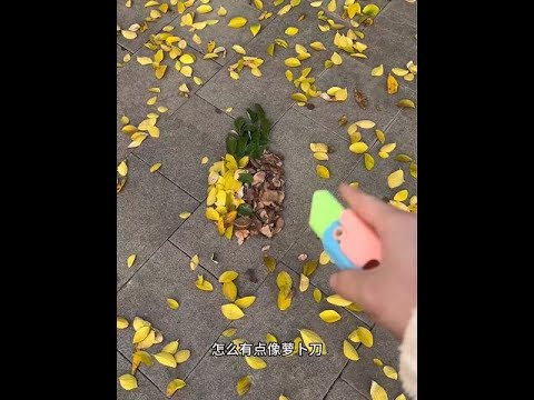快来看树叶成精了#玩个很新的东西 #萝卜刀 #解压玩具 #落叶🍂 #大人也要玩玩具