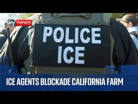 US ICE agents raid a southern California farm