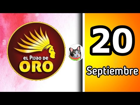 Resultado EL PIJAO DE ORO Viernes 20 de Septiembre de 2024