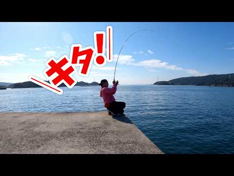 今年の秋は好調!?太った⭕️⭕️が釣れた‼️