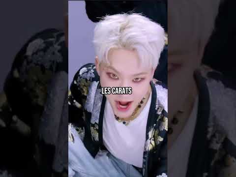 StoryBoard 1 de la vidéo LES FANS DE BTS ET HOSHI VICTIMES DU COMPORTEMENT DE CERTAINS CARATS! Actu Kpop #bts #seventeen