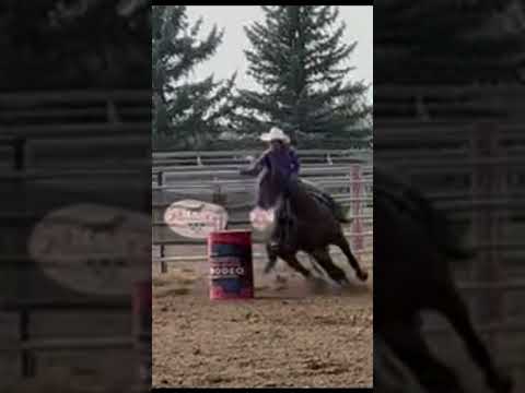 Would’ve been top 15 #blowup #horse #rodeolife #rodeo #barrelhorse #barrelracer #rodeohorse #fyp #❤️