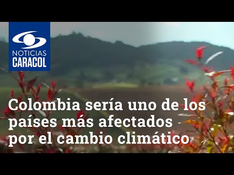 Colombia sería uno de los países más afectados por el cambio climático: ¿cómo cambiar este panorama