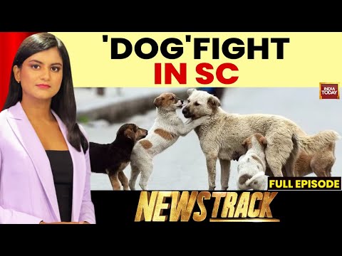 NewsTrack With Akshita Nandagopal: Trump's Diplomatic Push & India's Stray Dog Order Sparks Debate