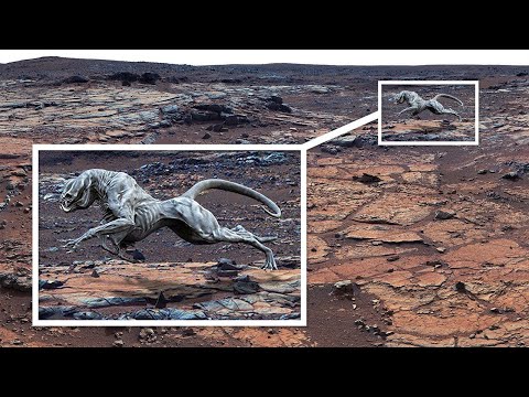 NASA'nın Bile Açıklayamadığı En Korkunç 10 Uzay Fotoğrafı