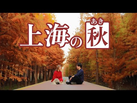 紅葉滿開・上海の秋の樂しみ方を紹介