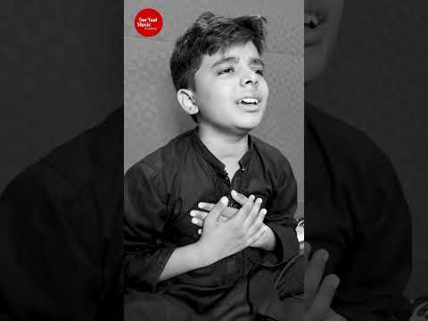 Nayab Haider Syeda Syeda