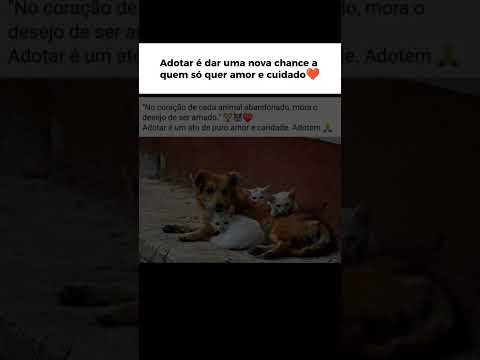 Adotar um animal significa muito pra eles,faz eles ser amado e protegido
