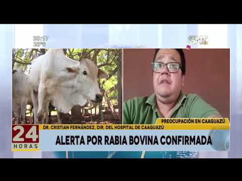 Caaguazú: Alerta por casos de rabia bovina