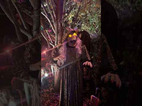 #halloweenhorrornights #halloween #spookyseason