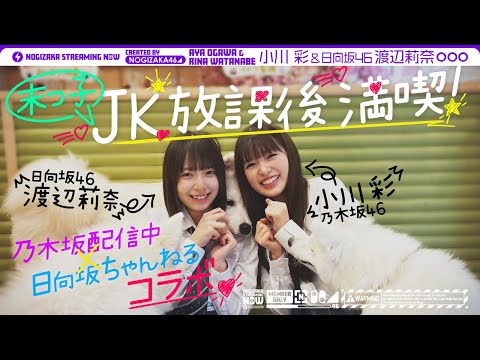 【もっと仲良くなりたい】小川彩が日向坂46渡辺莉奈と原宿デート♪【日向坂ちゃんねるコラボ前編】
