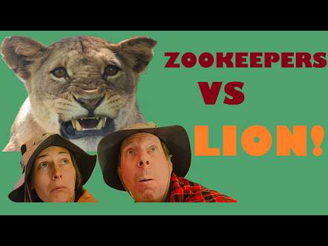 ZOOKEEPERS VS LION -Tanzania Safari at Tarangire