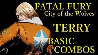 餓狼伝説 CotW テリー 基本 コンボ【 FATAL FURY CotW TERRY BASIC COMBOS 】