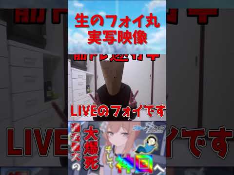 生のフォイ丸実写映像#shorts