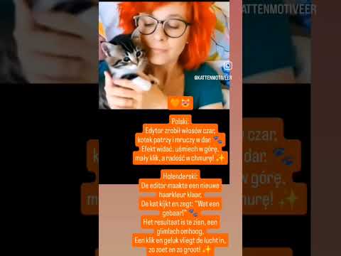 🧡😻🧡De editor maakte een nieuwe haarkleur klaar,De kat kijkt en zegt: “Wat een gebaar!.. #dc #look