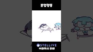 타비의 본업행동