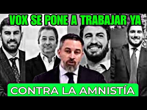 VOX CONTRA LA AMNISTIA, SANTIAGO ABASCAL Y SUS VICEPRESIDENTES SE PONEN A TRABAJAR