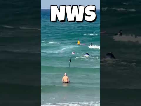 תיעוד חילוצים בחופי הים על ידי מצילי אגף החופים בעיריית חיפה