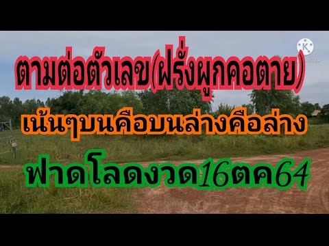 ตามต่อตัวเลข(ฝรั่งผูกคอตาย)ฟาด ตามต่อตัวเลข(ฝรั่งผูกคอตาย)ฟาด