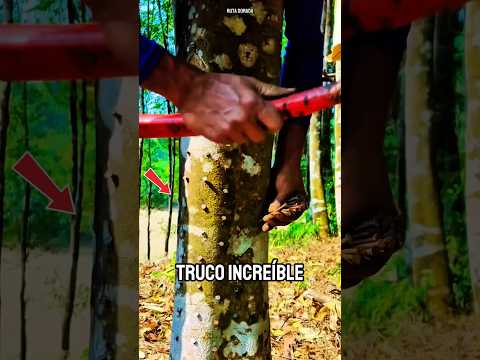 ¡El truco agricola que multiplica las frutas!