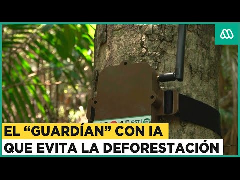 El guardían con inteligencia artificial que busca evitar la deforestación en la Amazonía