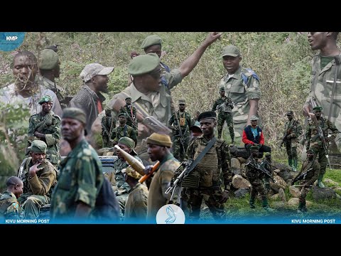 RDC : RÉACTION DES WAZALENDO À L'ACCORD DE CESEZ-LE-FEU ENTRE AFC-M23 ET FARDC