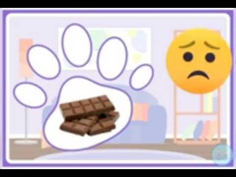 ДИДАКТИЧНА ГРА "ЩО ЇСТЬ КОШЕНЯ ? "