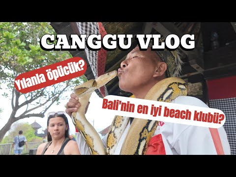 Bali’de Yılanla Tanıştım 😱 | Canggu'da Sürprizlerle Dolu Bir Gün