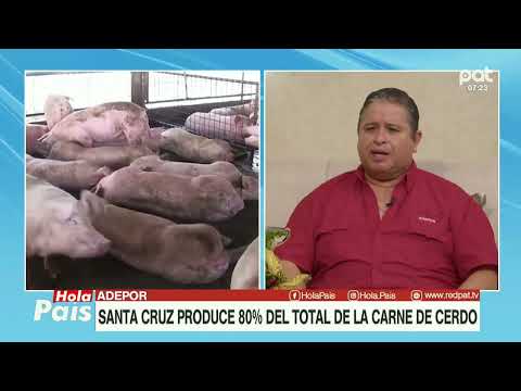 Santa Cruz produce 80% del total de la carne