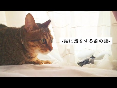 軍曹って実はこんな性格です【This Is What Sergeant Is Really Like】