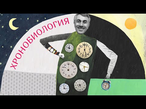 Хронобиология - Доктор Комаровский