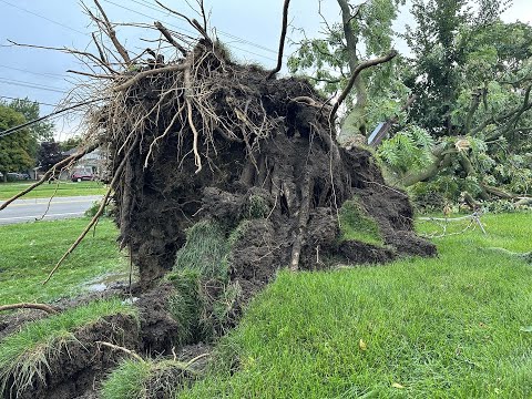 Storms with 75 mph winds down trees and power lines in suburban Detroit