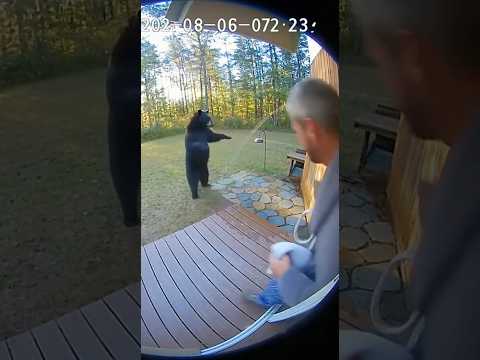 Bear Caught Using the Outdoor Shower 🚿🐻💀