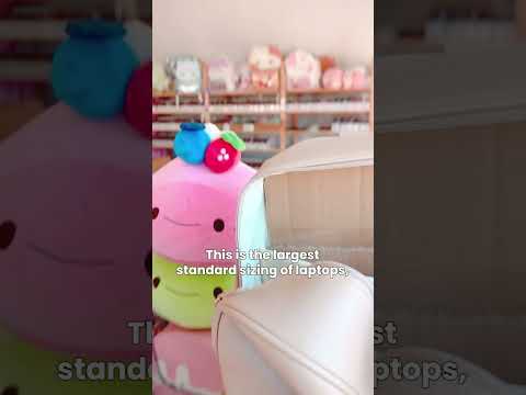 Ft my 17 inch laptop.