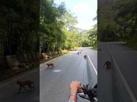 name chale#shorts #attitude #trandingshorts #vairalshort #youtuber