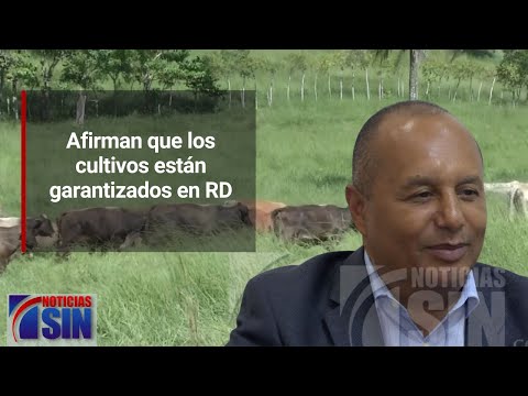 Afirman que los cultivos están garantizados en RD