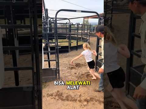 Akankah Mereka Berhasil ?