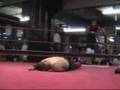 Team TnT vs. Circle of Fear 2 (WUW Jr TagTeam Championship)